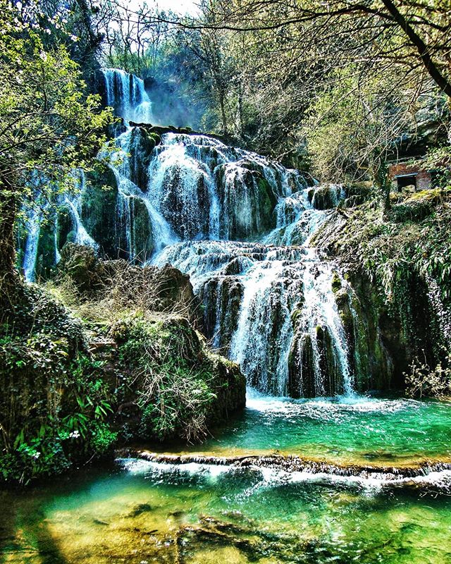 A scenic waterfall cascades down mossy rocks into a vibrant turquoise pool surrounded by lush trees in a forest setting.