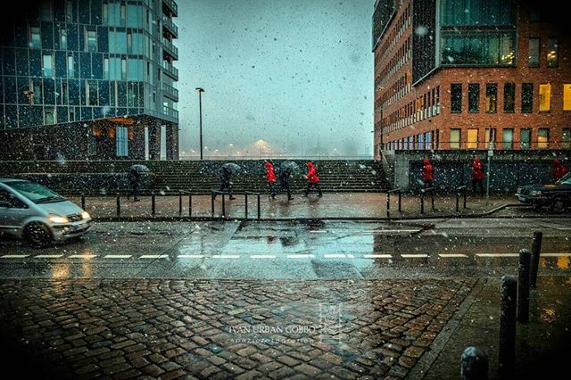 People with umbrellas walk a wet city street in a snow flurry, next to modern buildings.