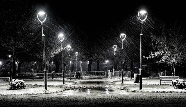 Snowy park at night with street lamps illuminating the path.