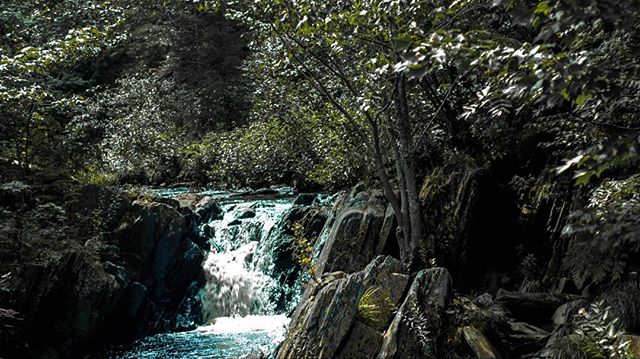 A tranquil waterfall cascades through rocks in a lush forest, creating a serene and natural scene.