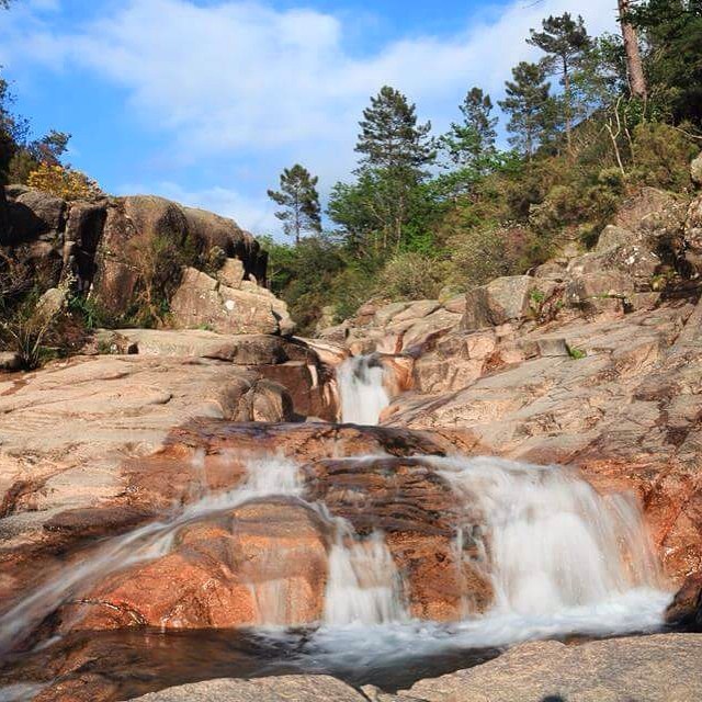 A scenic waterfall cascading over rocks surrounded by trees in a natural setting.