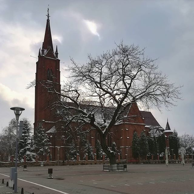 A church stands tall in a town square on a winter day with a large bare tree in the foreground.