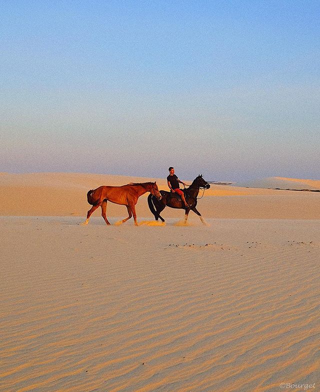 A man rides a black horse alongside a brown horse in a vast desert landscape at sunset.