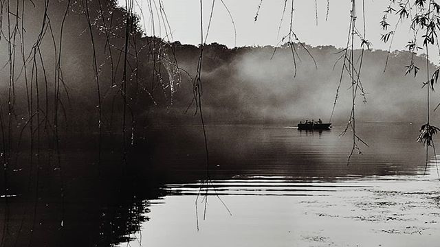 A black and white image featuring a boat on a misty lake framed by tree branches.