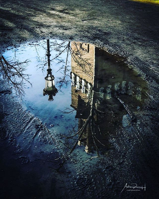 A vintage-style puddle reflection showing a tower, lamp post and bare trees in an urban setting.