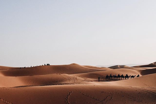 A camel caravan winds through the vast Sahara desert, creating an iconic travel scene.