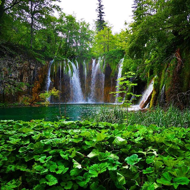 A stunning waterfall cascades into a clear lake surrounded by lush green foliage in a serene forest setting.