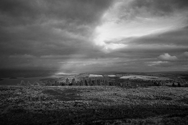 Dramatic monochrome landscape with rolling hills, a line of trees, and a cloudy sky suggesting a calm before a storm.