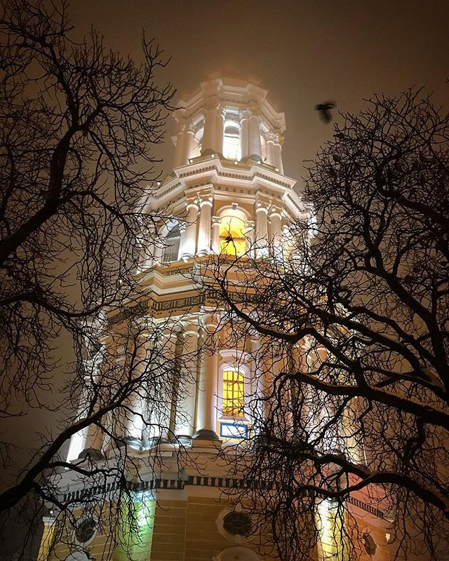 Illuminated tower with bare branches in fog creating a mysterious urban landscape at night.