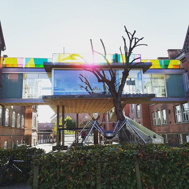 A unique building design featuring a tree and swing set in the courtyard of a modern urban structure.