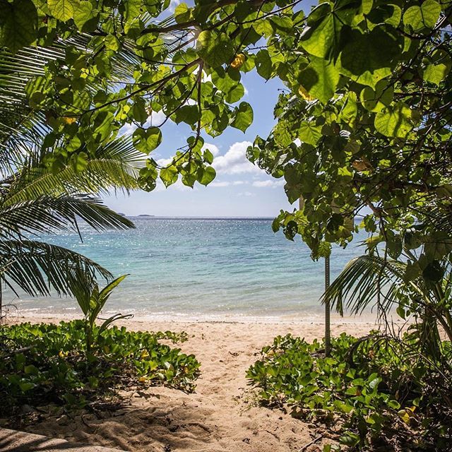 A serene beach view framed by lush trees and foliage, perfect for travel and relaxation themes.