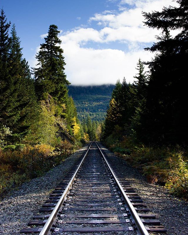 A scenic view of railroad tracks stretching through a lush forest landscape under a cloudy sky.