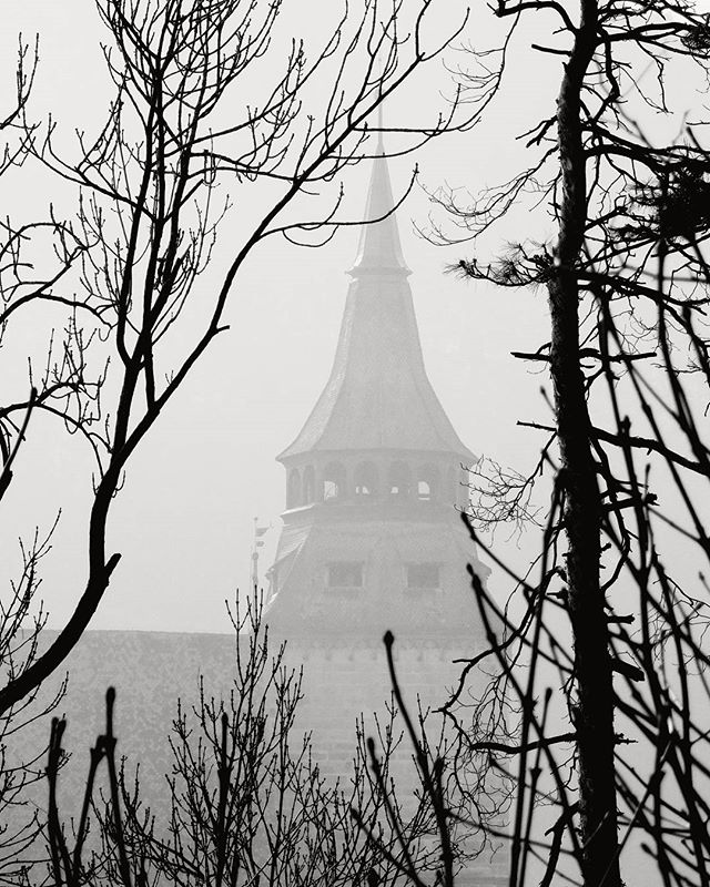A tall tower with a spire rises through the fog, framed by bare branches in a black and white landscape.