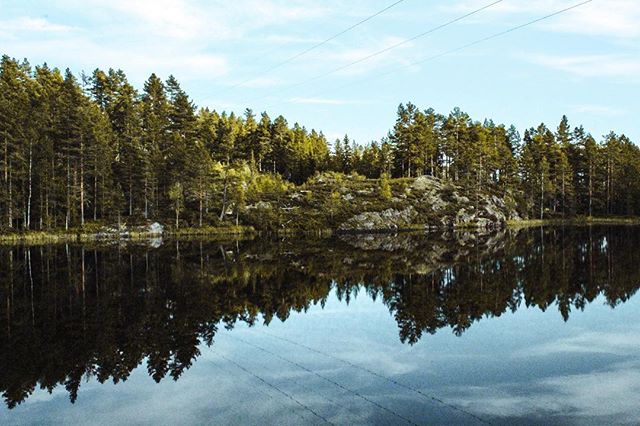 A tranquil lake reflects the lush forest and sky, showcasing nature's serenity and beauty.