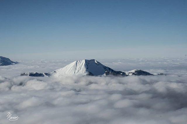 A scenic view of a snow-capped mountain peak rising above a sea of fluffy clouds under a clear blue sky.