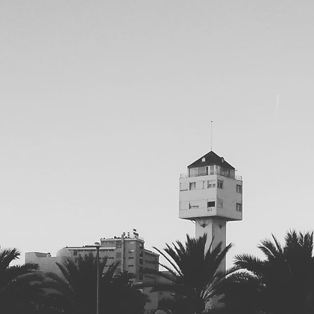 A black and white cityscape with a prominent tower, surrounding buildings, and silhouetted palm trees.