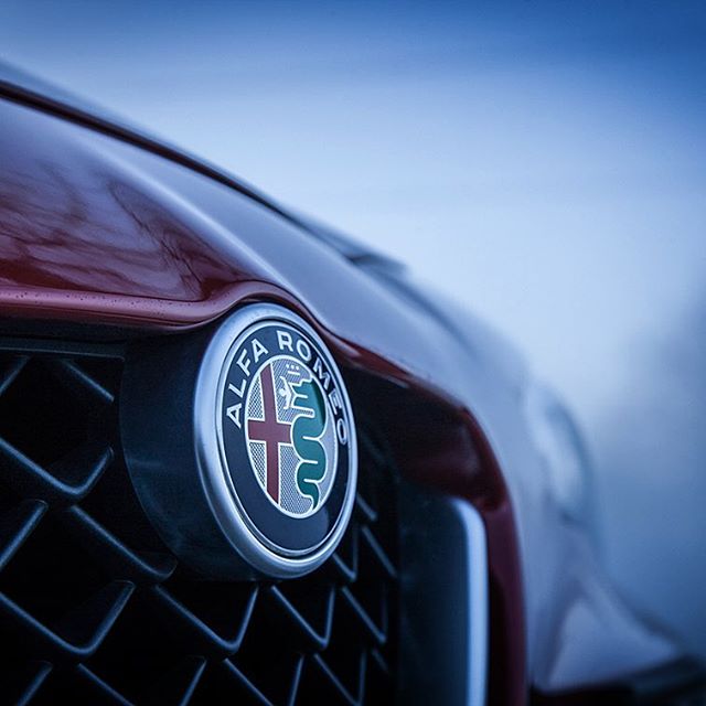 Close-up of an Alfa Romeo car badge showcasing Italian automotive design and brand identity.