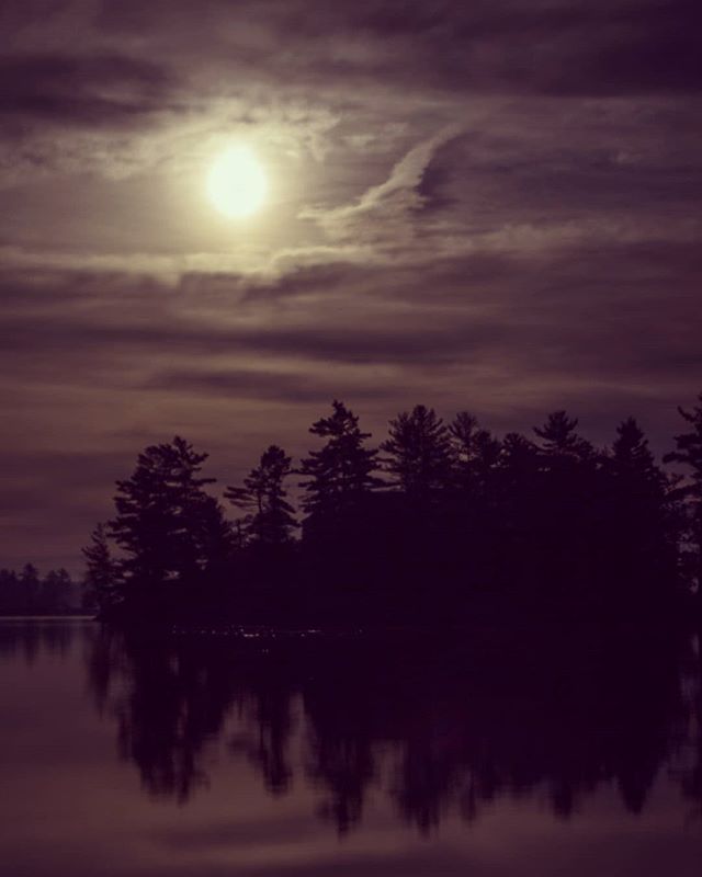 A tranquil night scene features a silhouetted treeline reflected on a calm lake under a cloudy, moonlit sky.