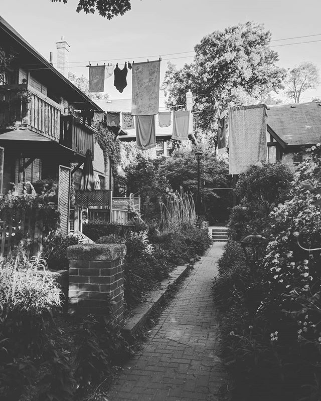 A black and white image of laundry hanging over a brick pathway winding through a lush backyard garden in a residential area.