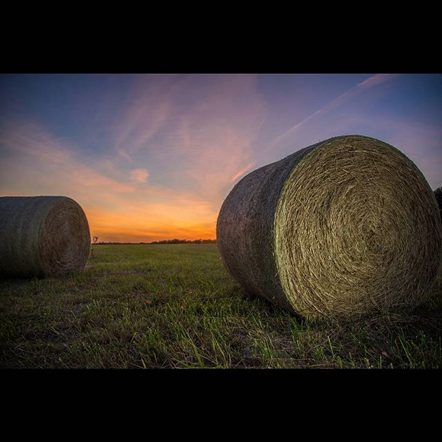 Two hay bales sit in a field at sunset, creating a tranquil rural scene.
