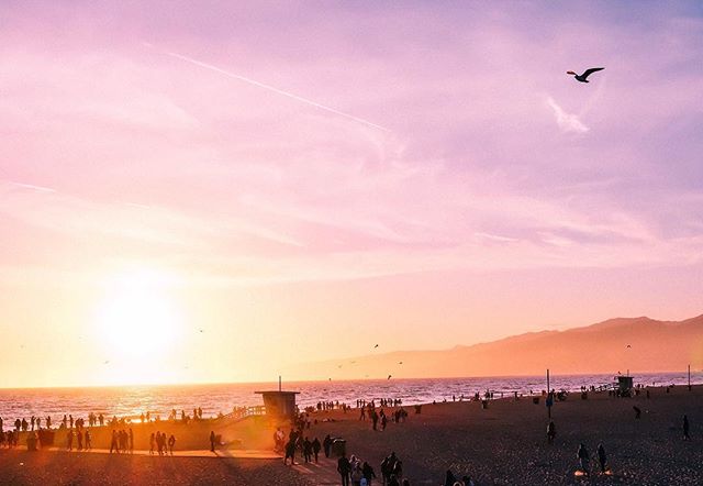 A scenic view of a beach at sunset with people enjoying the tranquil atmosphere and a bird flying in the sky.
