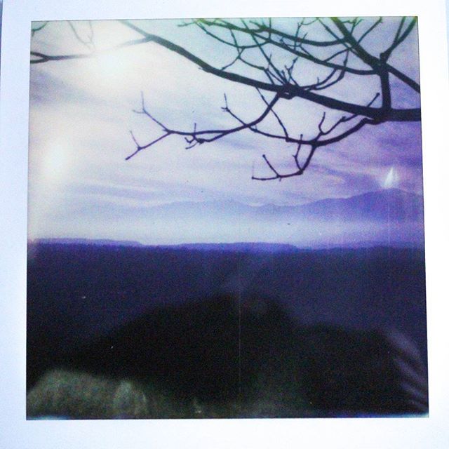 A landscape view featuring tree branches silhouetted against a mountain range backdrop, creating a tranquil, atmospheric scene.