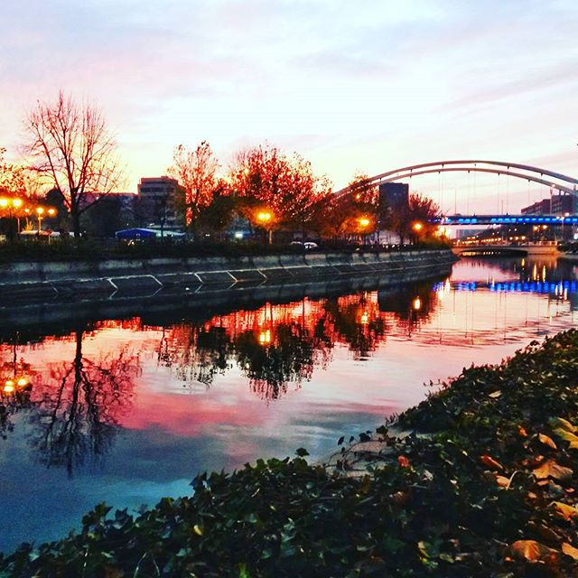 Scenic view of a river reflecting city lights and the sky at dusk, featuring a bridge and trees.