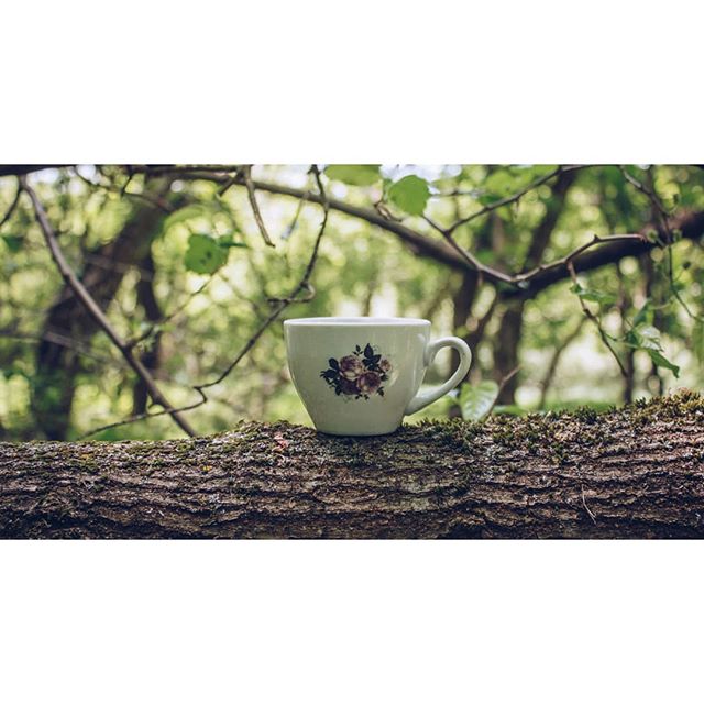 A vintage teacup with floral design sits on a mossy log in a serene forest setting.