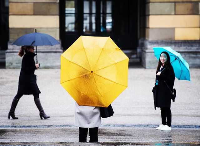 Three women are walking in the city on a rainy day with umbrellas in yellow, blue, and black.