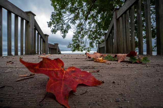 A red maple leaf rests on a wooden deck overlooking a serene lake on an overcast autumn day.