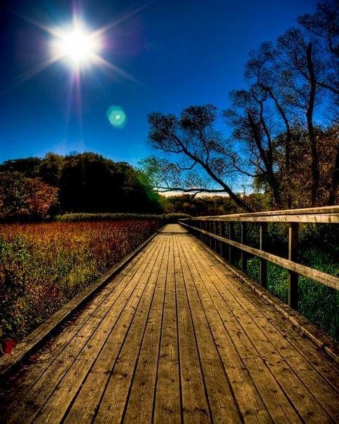 A wooden bridge stretches into the distance under a clear blue sky and bright sun, surrounded by nature and trees.