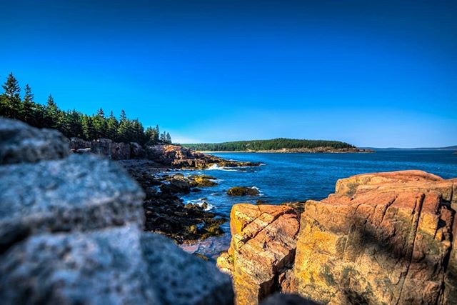 A scenic view of a rocky coastline with trees and a calm ocean under a clear blue sky. 