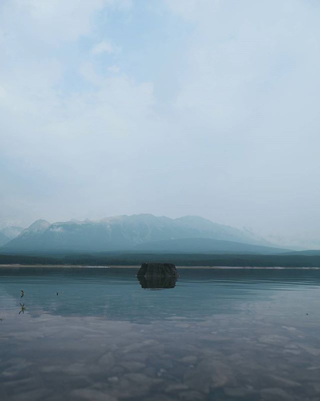 A serene lake with a tree stump in the water and mountains in the background under a cloudy sky.