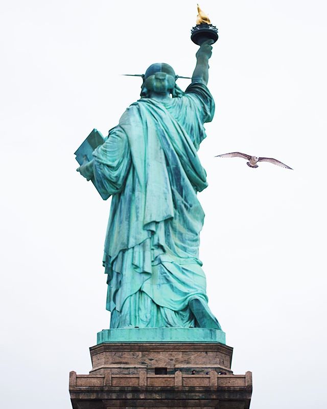 The back of the Statue of Liberty with a seagull flying nearby on a cloudy day.