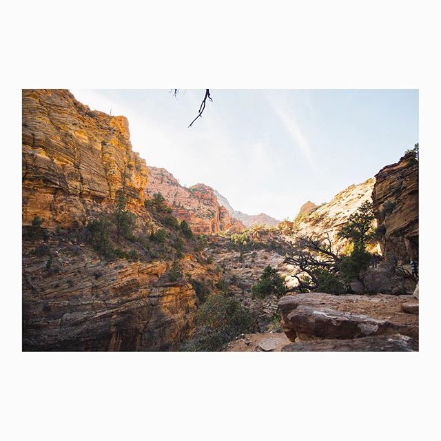 Scenic canyon landscape featuring rugged cliffs and natural light. Perfect for travel and nature themes.