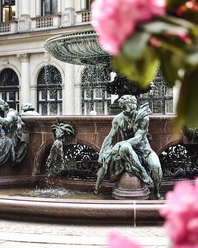 A historic fountain with a statue in a city, framed by pink flowers, captures a moment of urban tranquility.