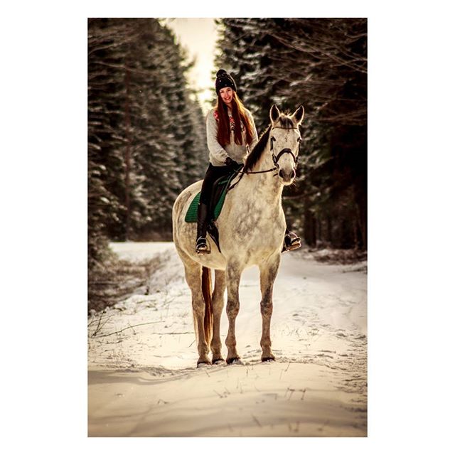 A woman rides a gray horse through a snowy forest landscape in winter.