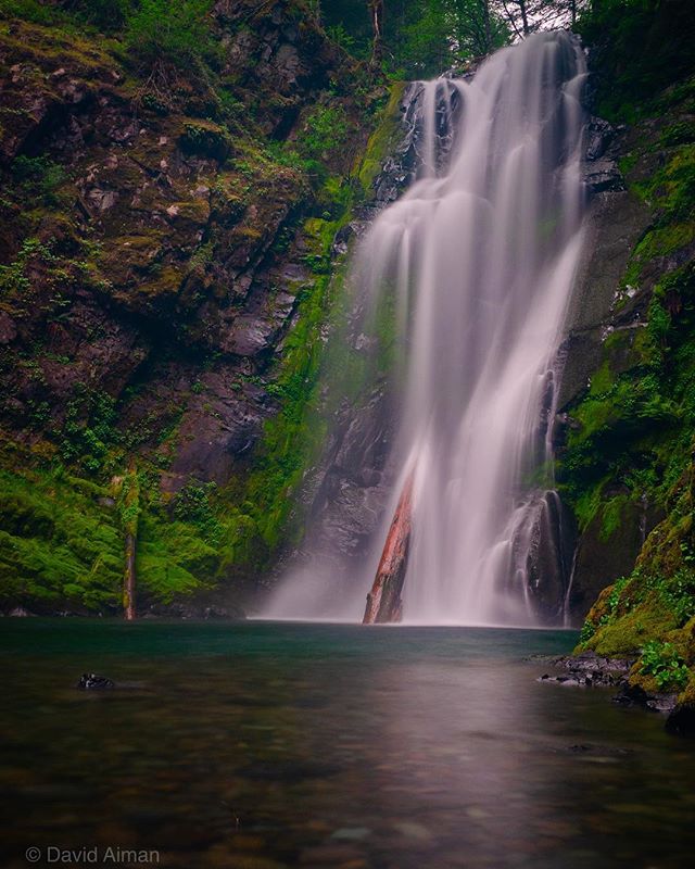 A tranquil waterfall flows into a peaceful lake surrounded by lush greenery and moss-covered rocks.