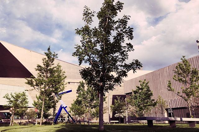 A serene cityscape featuring modern architecture, public art, and green spaces for a peaceful urban experience.