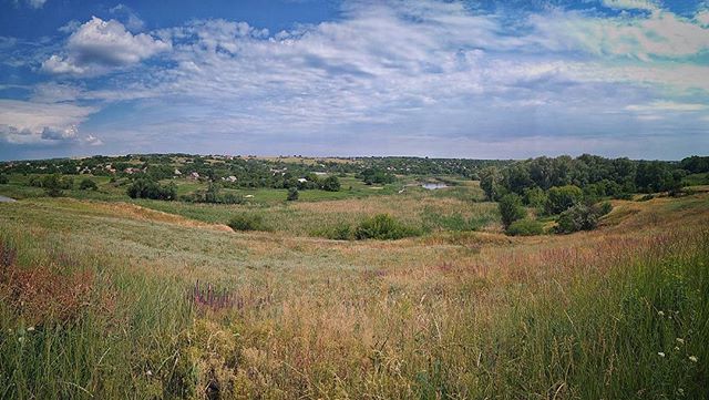 Scenic landscape of a grassy field with trees under a blue sky, perfect for travel and tourism campaigns.