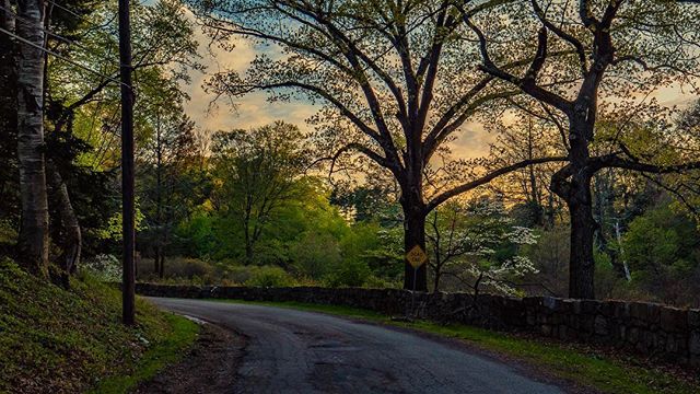 A scenic road winds through a tranquil, tree-lined countryside, marked by a "dead end" sign along the way.