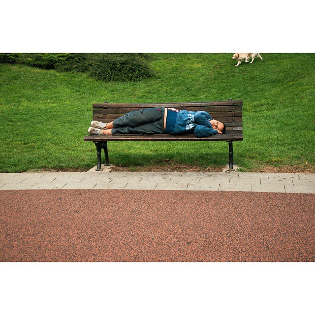 A person is lying on a park bench in a green setting on a relaxing day.