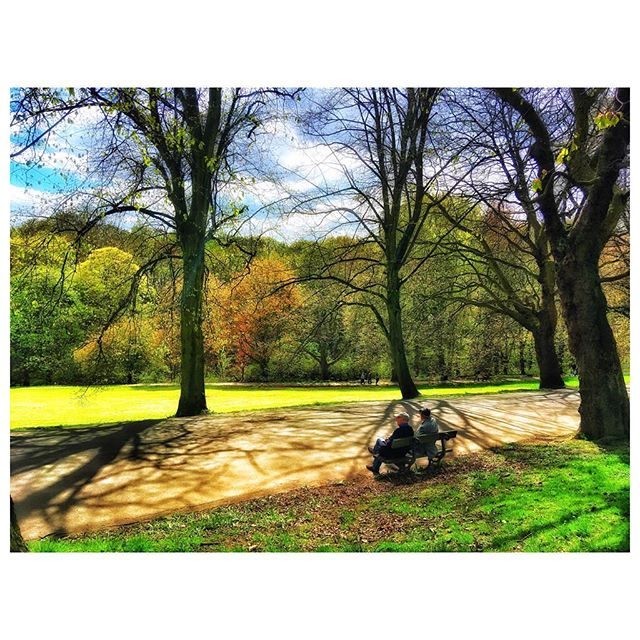 Two people relax on a bench in a park with trees and a path during the day.