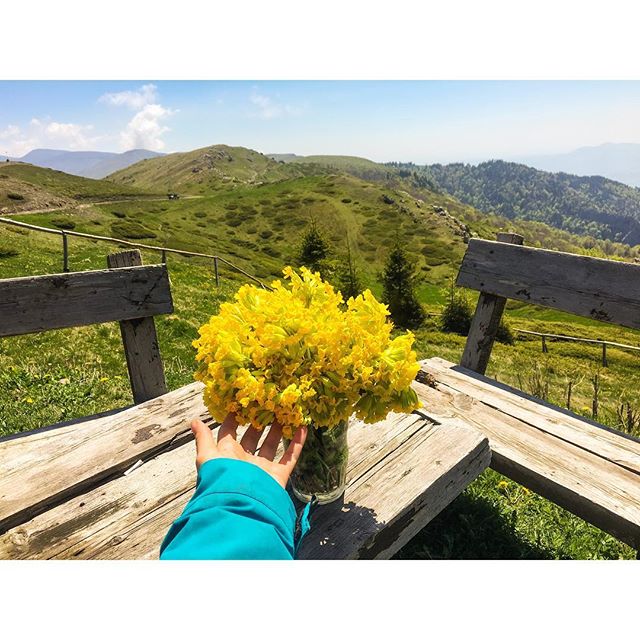A relaxing moment captured with flowers on a bench overlooking a scenic mountain view.