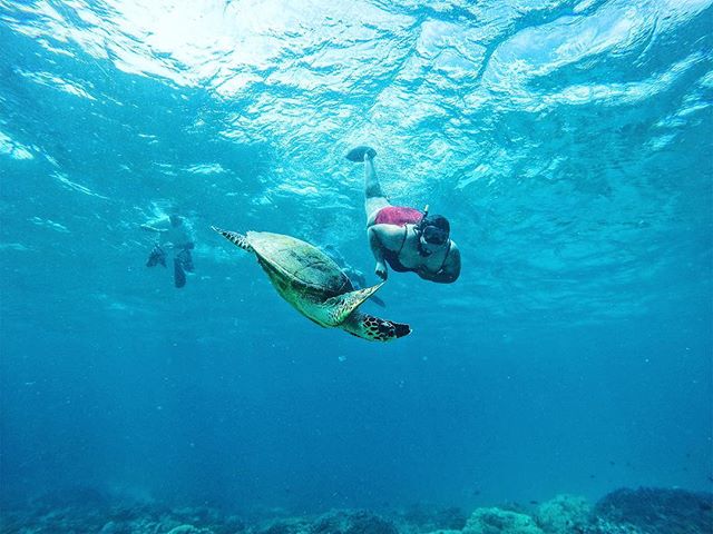 Woman snorkeling with a sea turtle in clear blue ocean water over a vibrant coral reef.