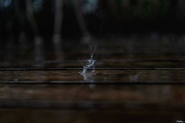 Raindrops create a splash on a wooden surface during a downpour, capturing a fleeting moment of nature's beauty.