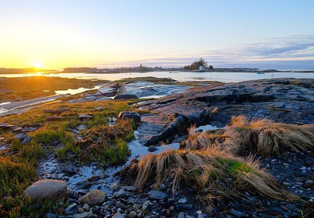 A tranquil ocean view at sunrise featuring rocks, grass and a distant island with a bright sky.