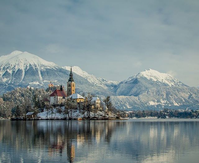 Scenic view of Lake Bled with the island church and snow-covered mountains in winter, perfect for travel and tourism campaigns.
