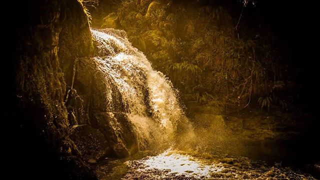 A scenic waterfall flows through a lush forest, creating a tranquil and serene atmosphere in a natural environment.