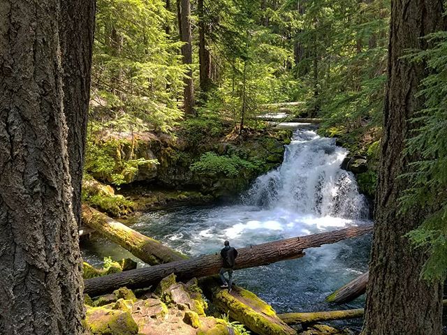 A man stands on a log near a waterfall in a lush, green forest, enjoying the tranquil natural scenery.